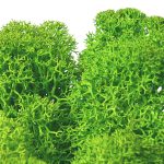 May Green