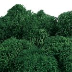 Leaf Green