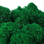Apple Green
